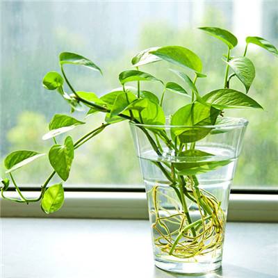 汽车“智能驾驶”功能不符成投诉热点?这些渠道帮你维权